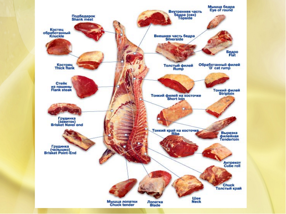 Части туши свиньи названия схема и описание и фото
