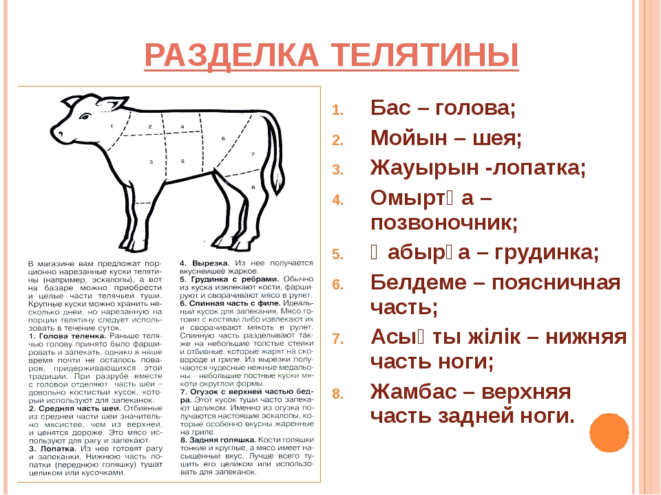 Схема разделки туши говядины свинины по международным стандартам