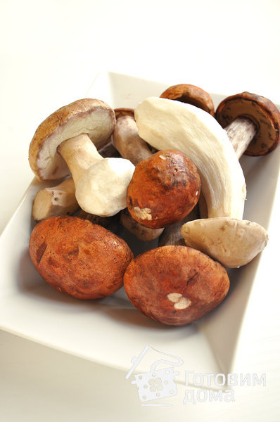 Жюльен из лесных грибов фото к рецепту 2