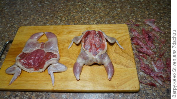 Разделка тушки перепелов