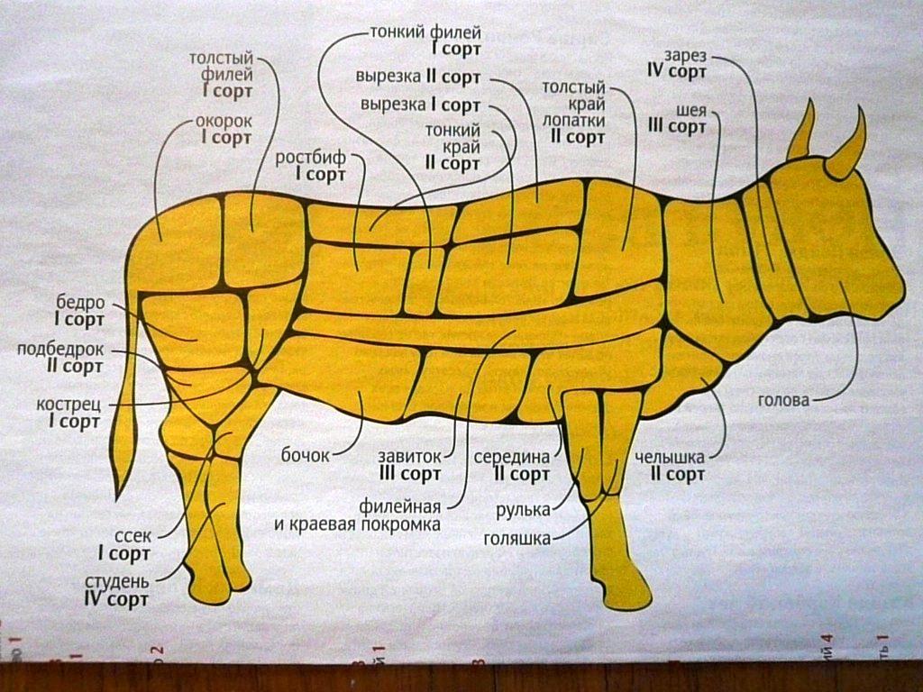 Разделка туши говядины схема с названием частей тела