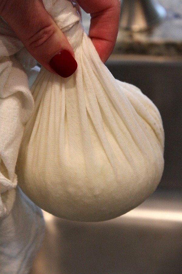 ingredients for cauliflower tortillas in a cheesecloth squeezing it dry